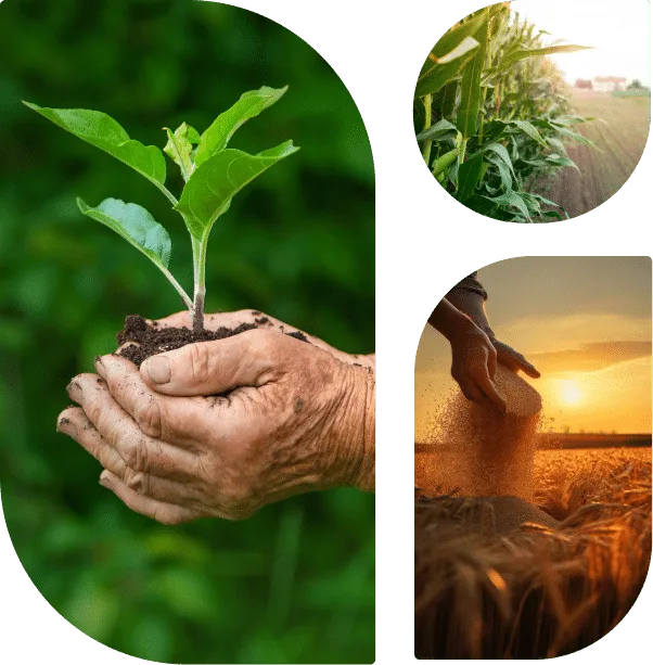 Farming with passion the feeding with purpose - 柠檬直播