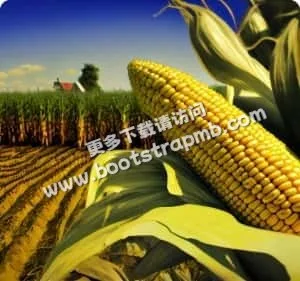 专注体育，服务球迷 - 柠檬直播