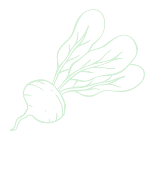 Cultivating a sustainable future for all - 柠檬直播